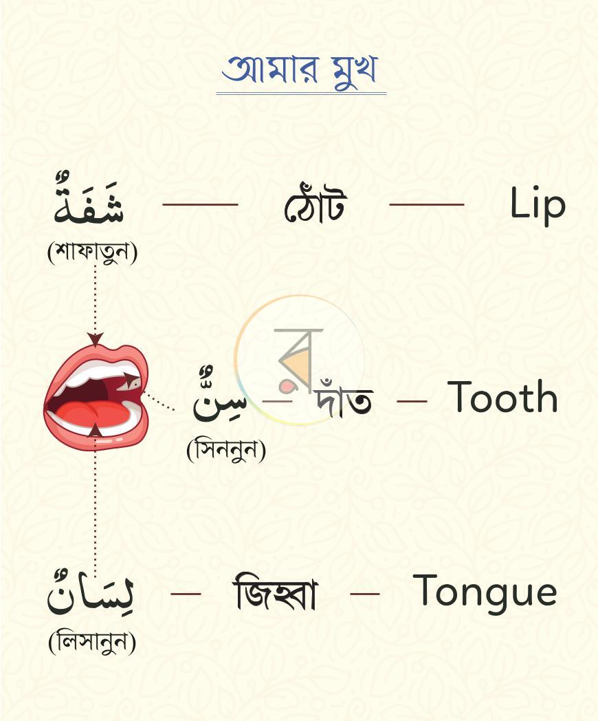 পাতা 4