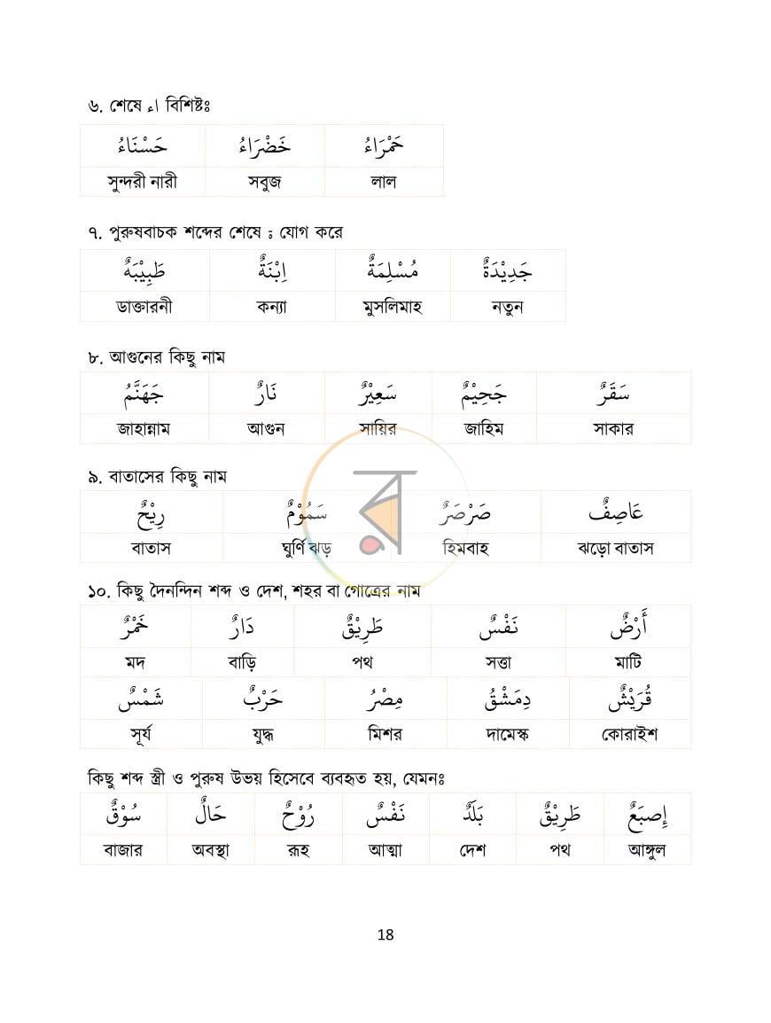 পাতা 19