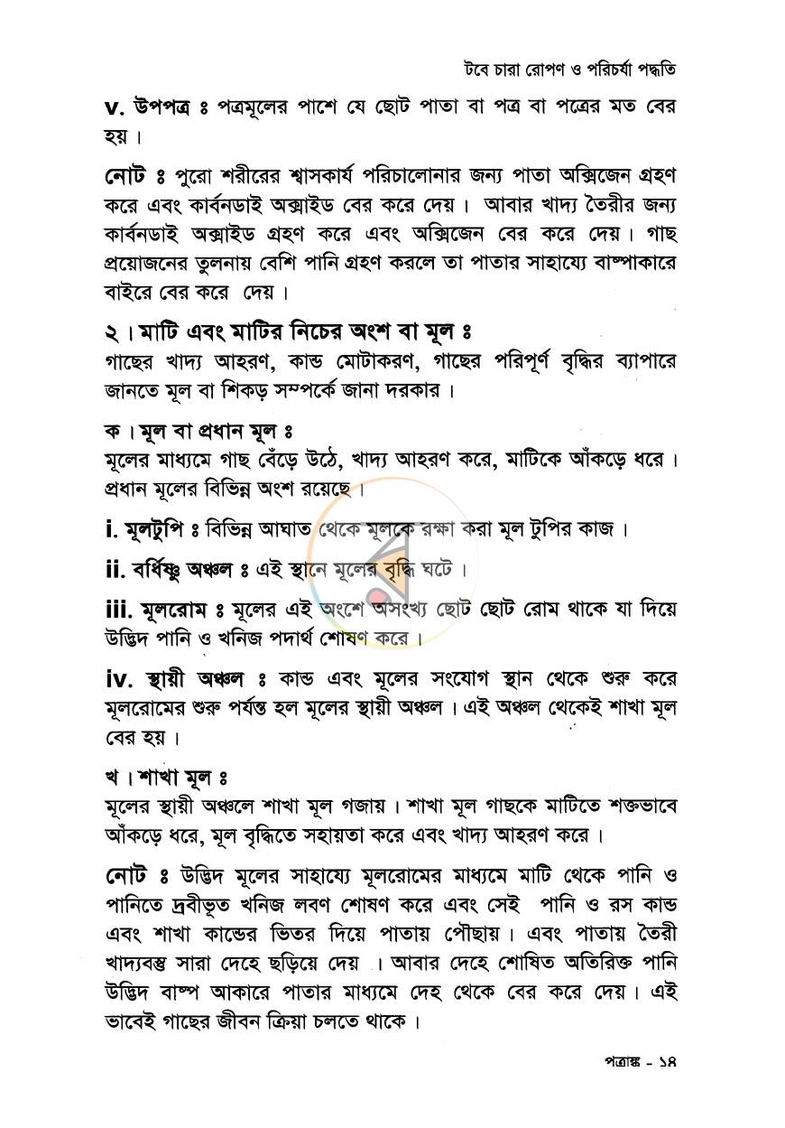 পাতা 9