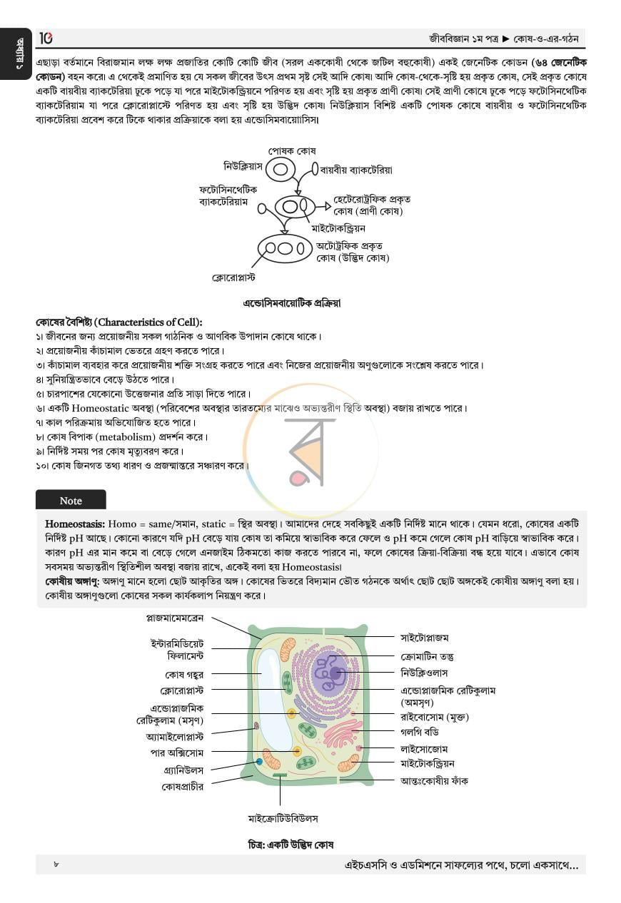 পাতা 4