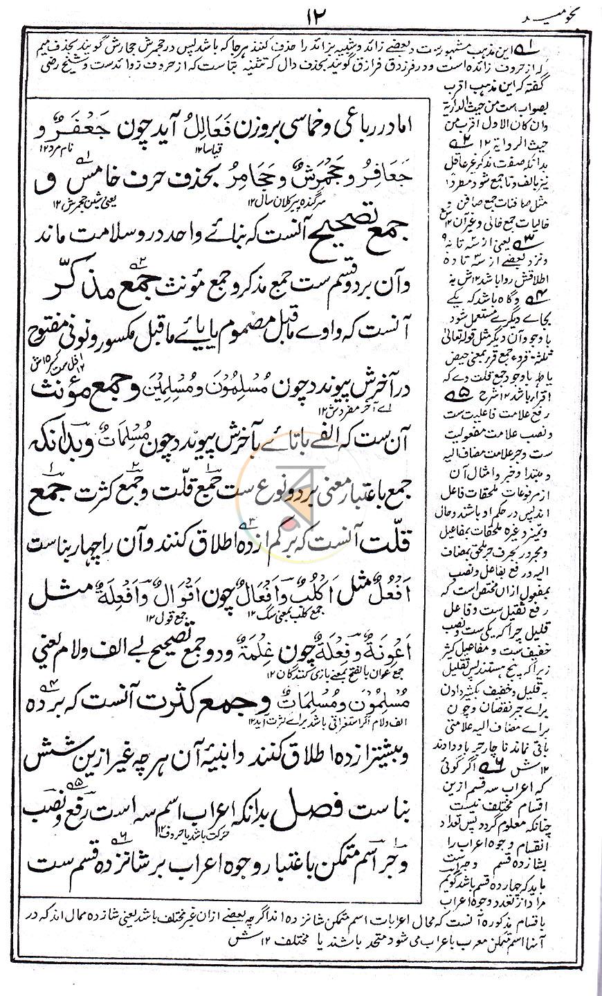 পাতা 8