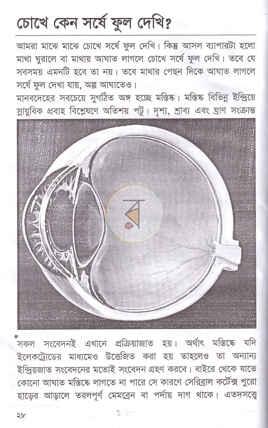 পাতা 12
