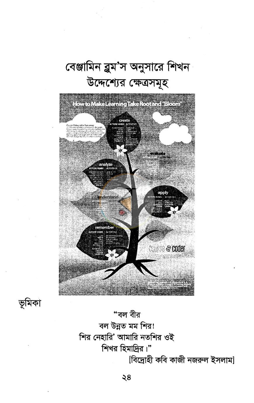 পাতা 13