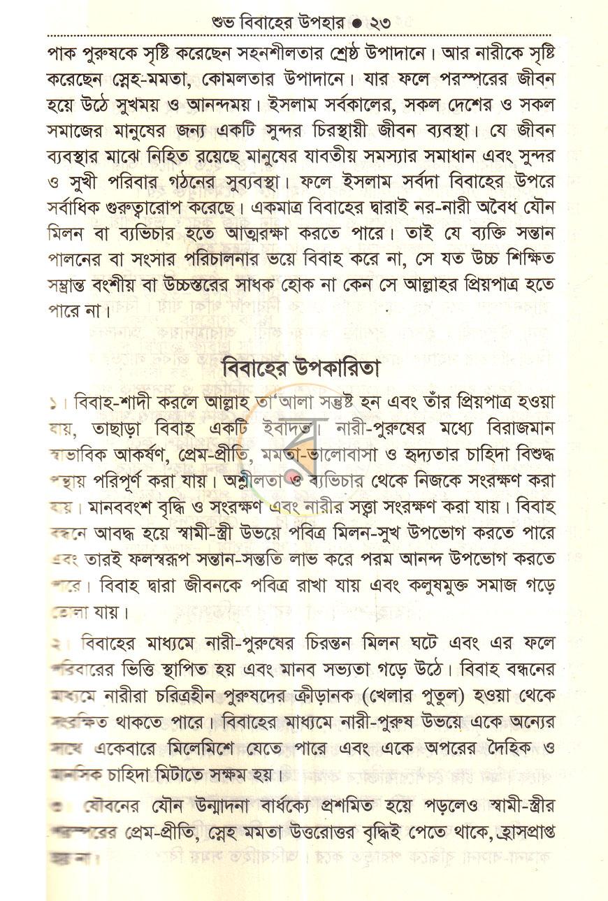 পাতা 13