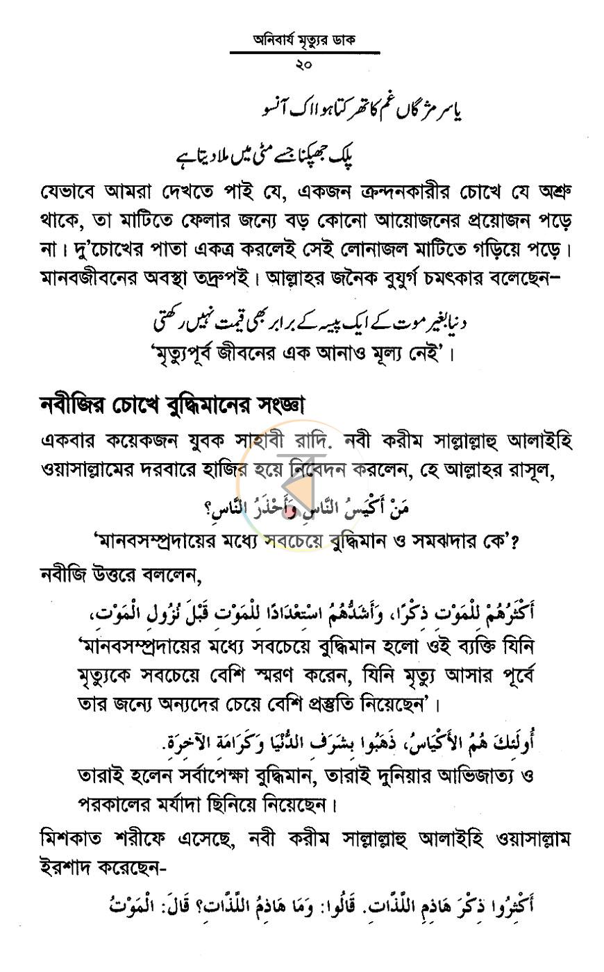 পাতা 12