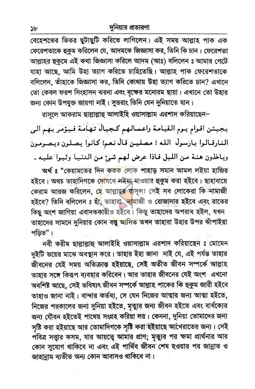 পাতা 11