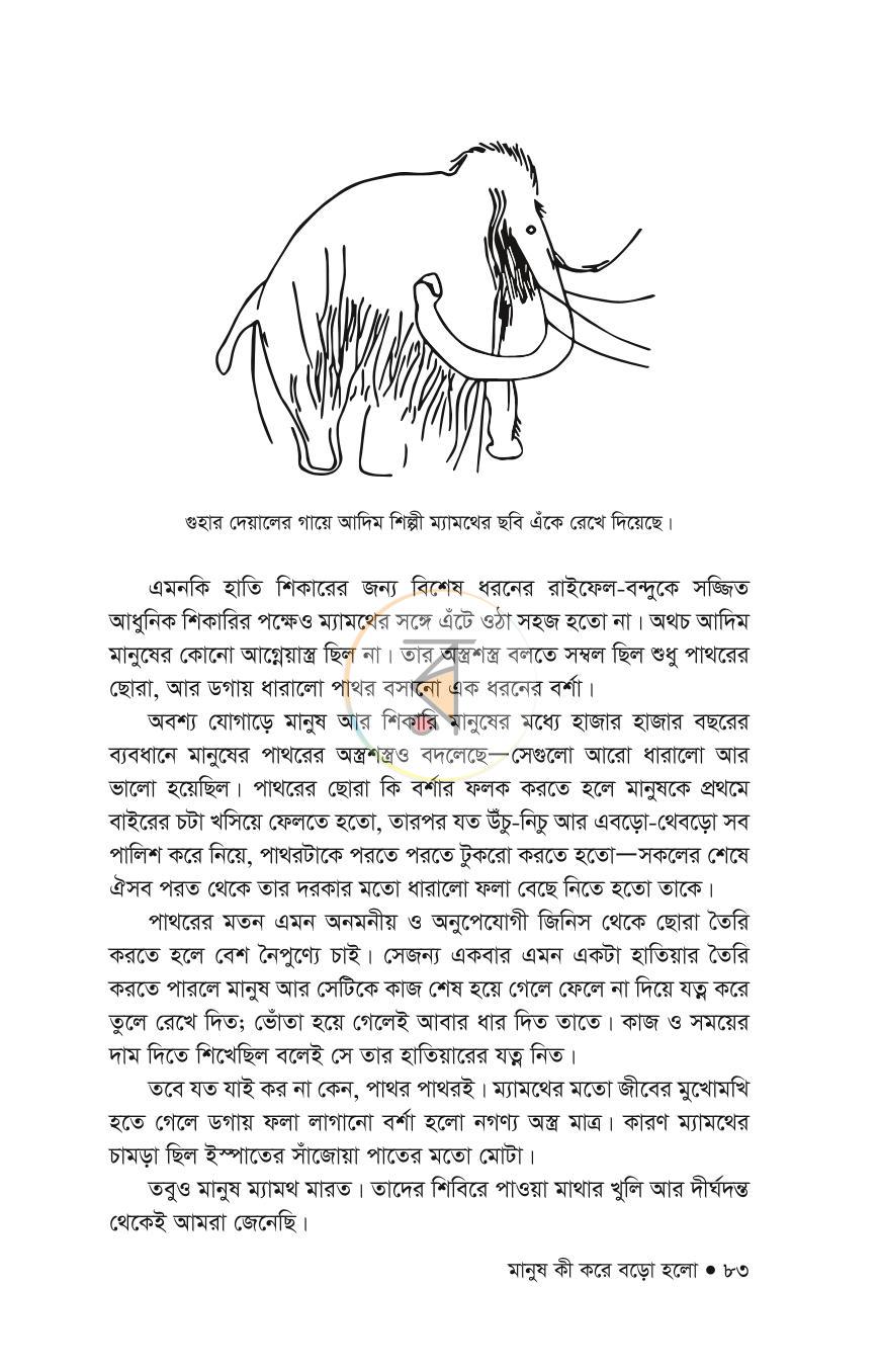 পাতা 28