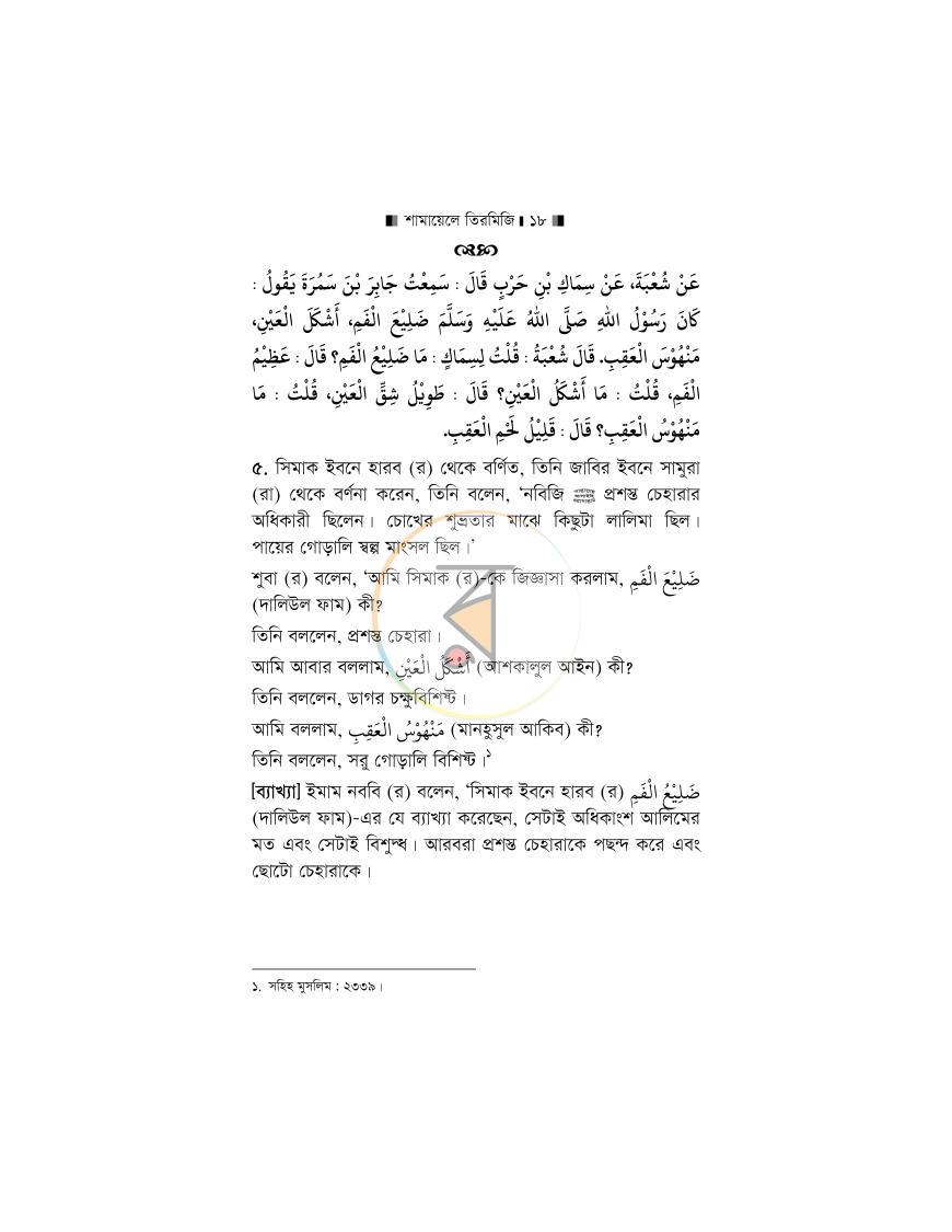 পাতা 14
