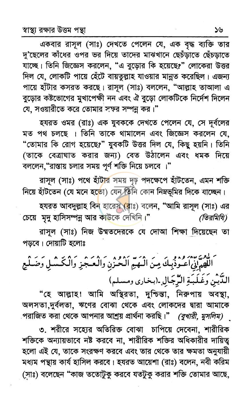 পাতা 13