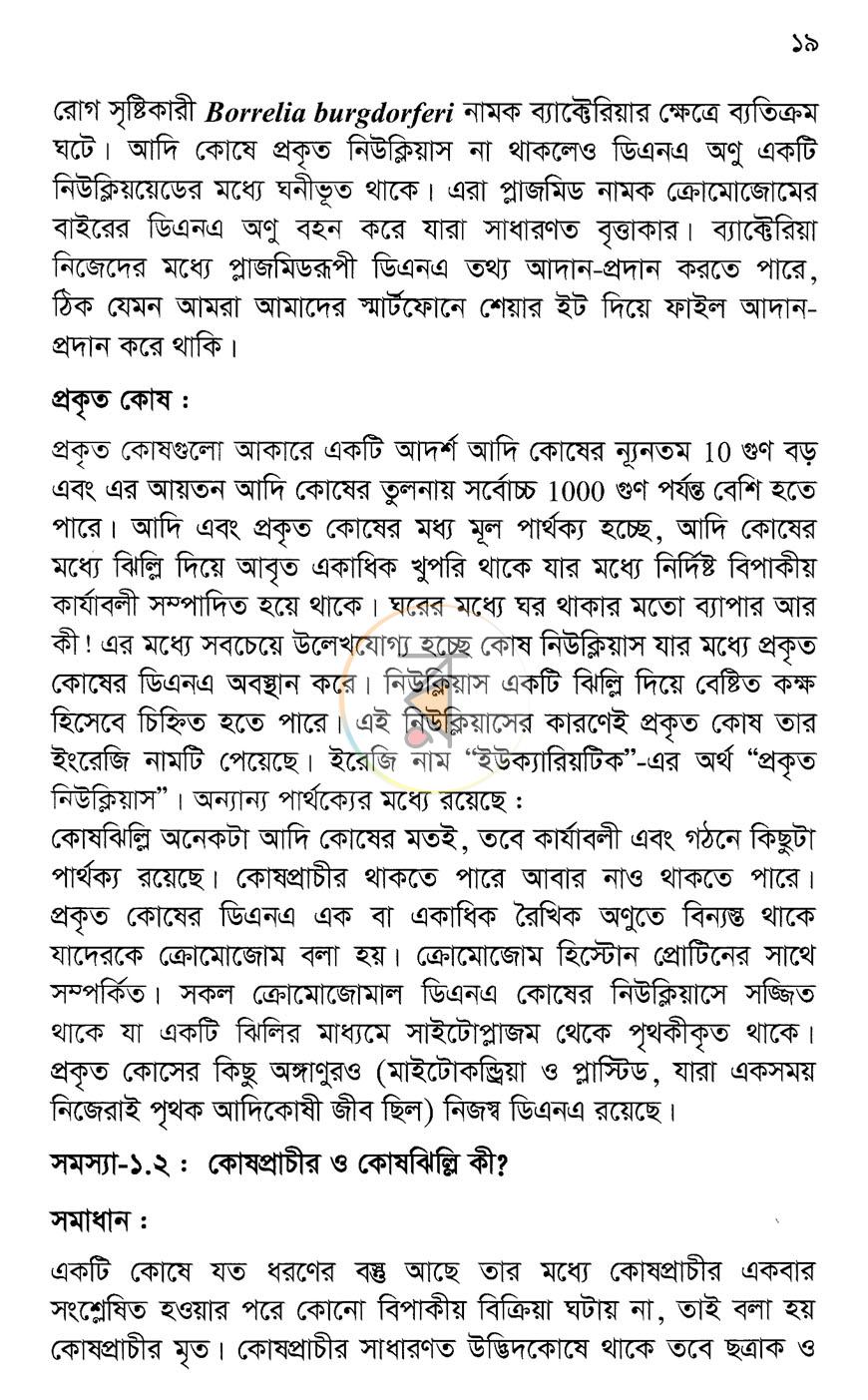 পাতা 10