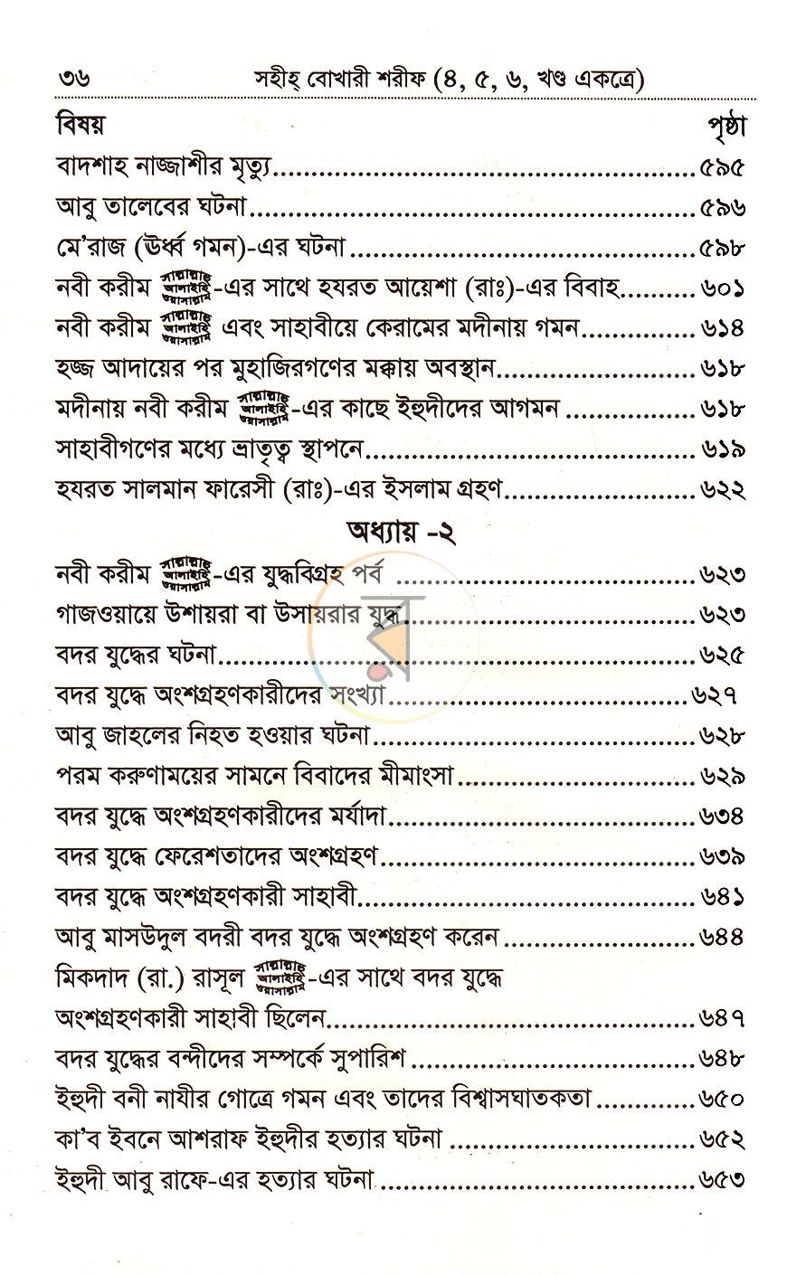 পাতা 17