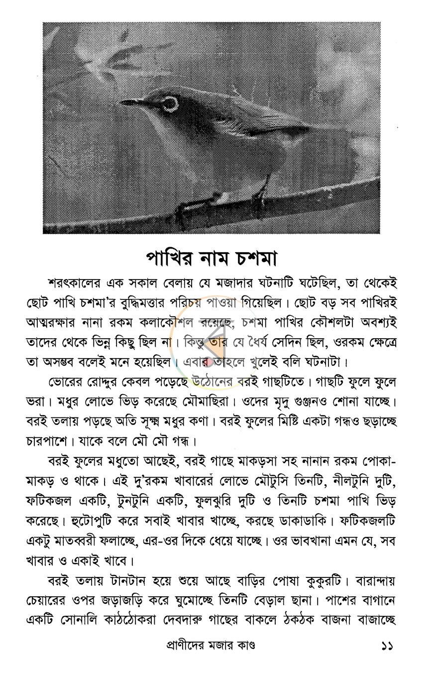 পাতা 8