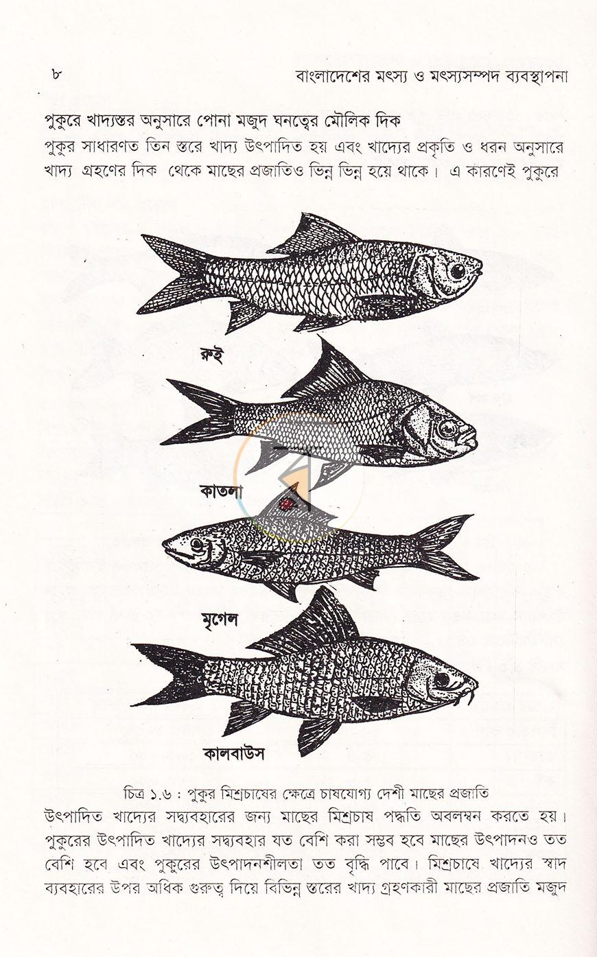 পাতা 12