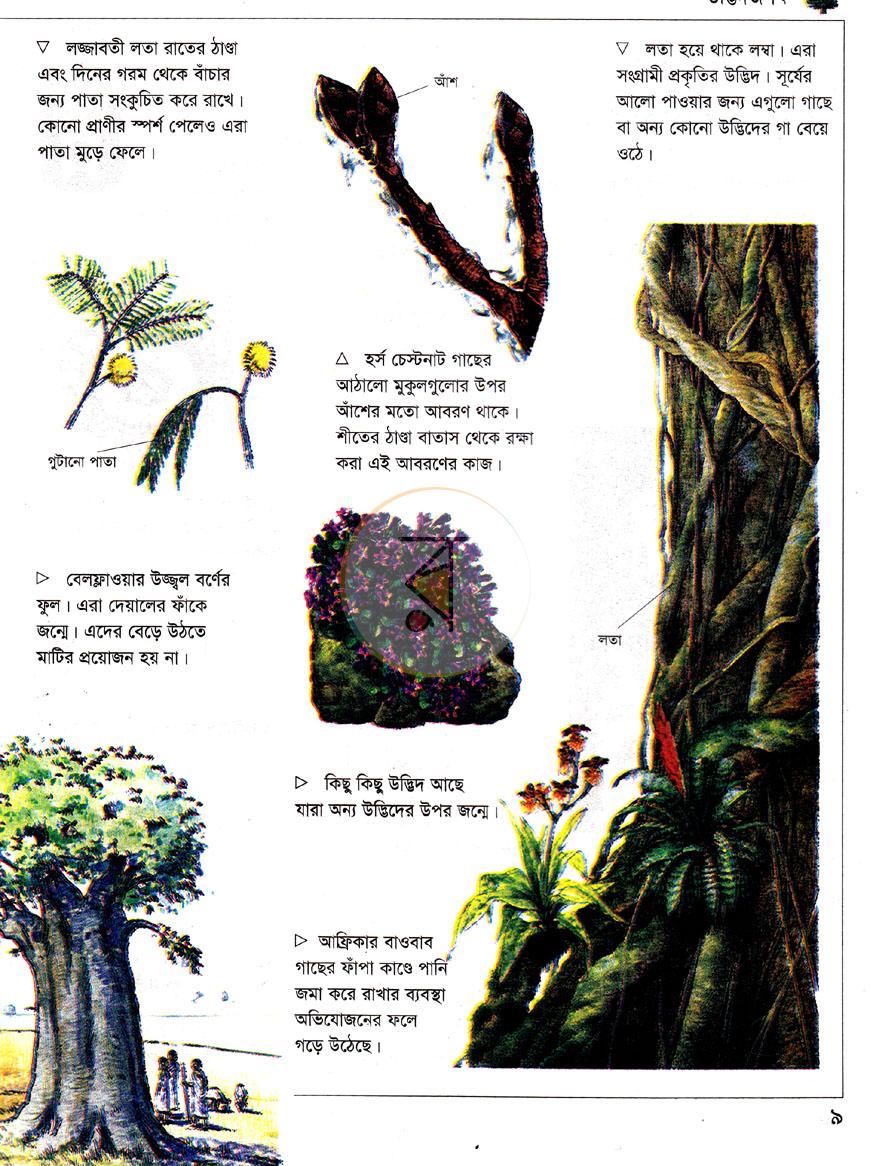 পাতা 5