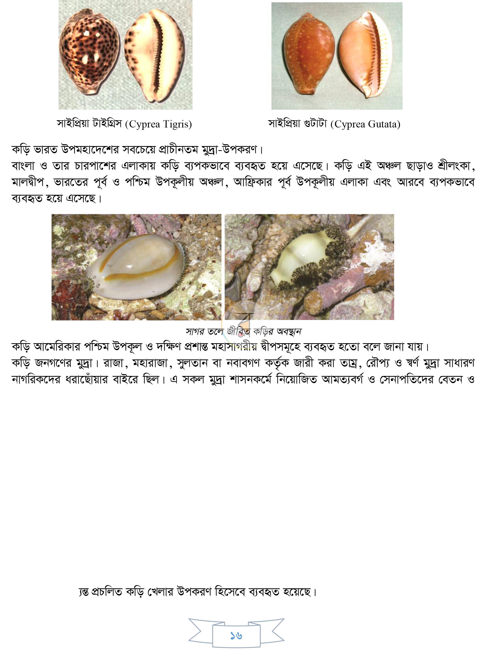 পাতা 9