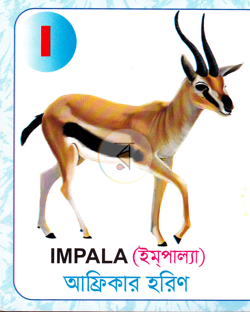 পাতা 9