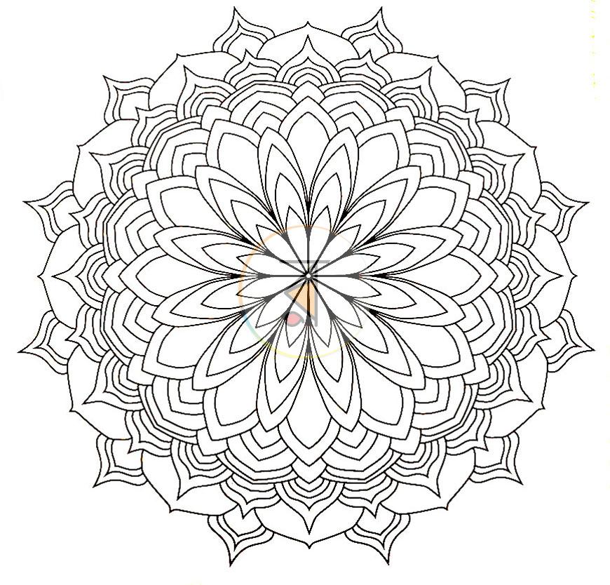 পাতা 2
