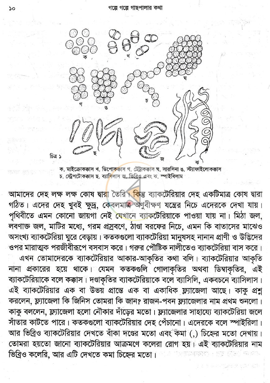 পাতা 5