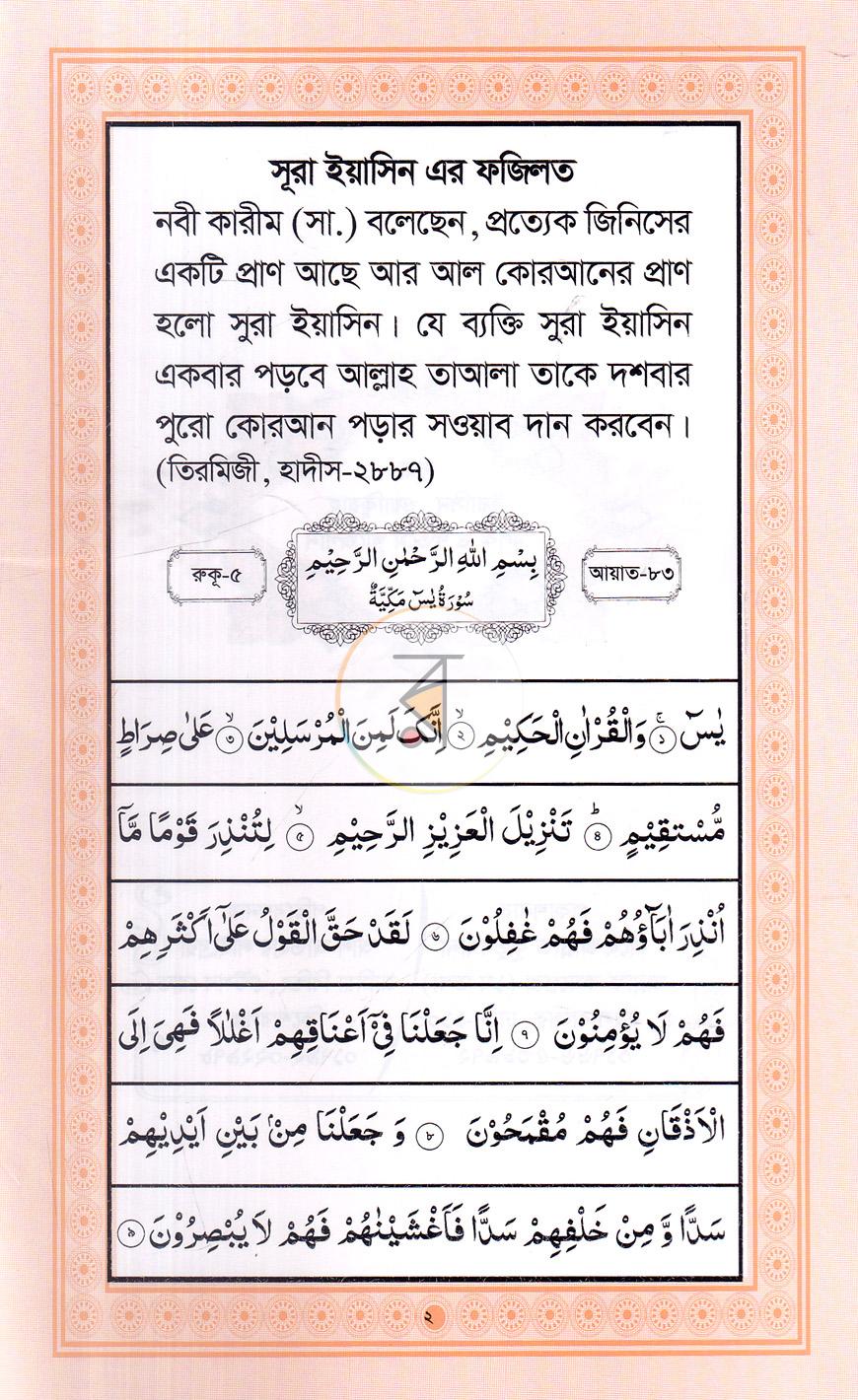 পাতা 2