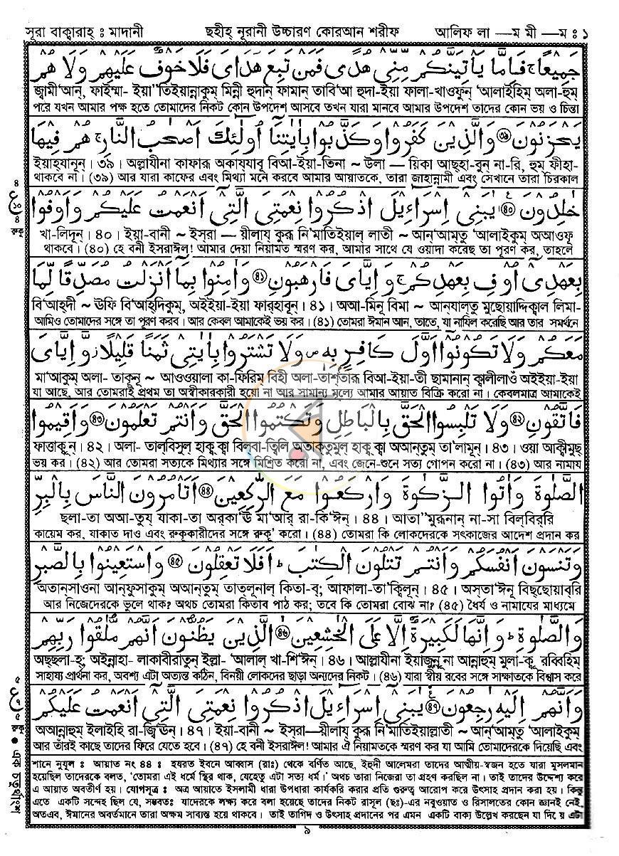 পাতা 11