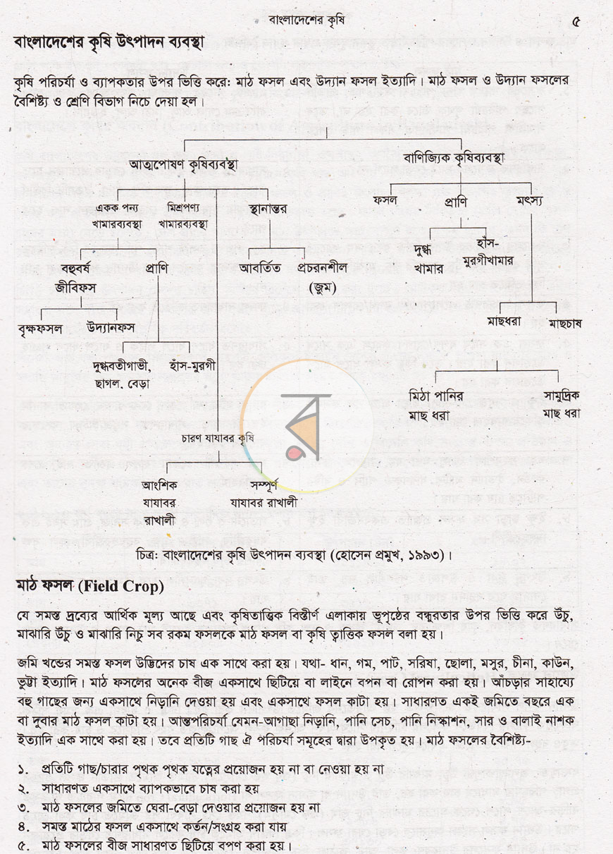 পাতা 10