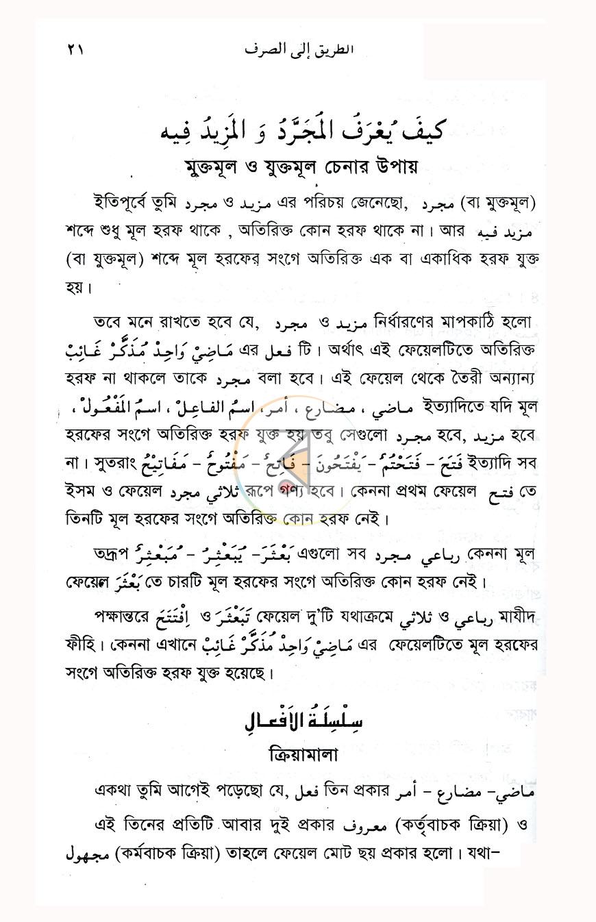পাতা 13