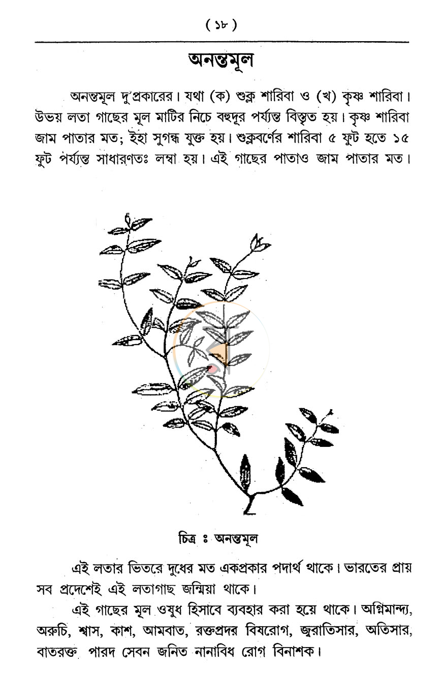 পাতা 9