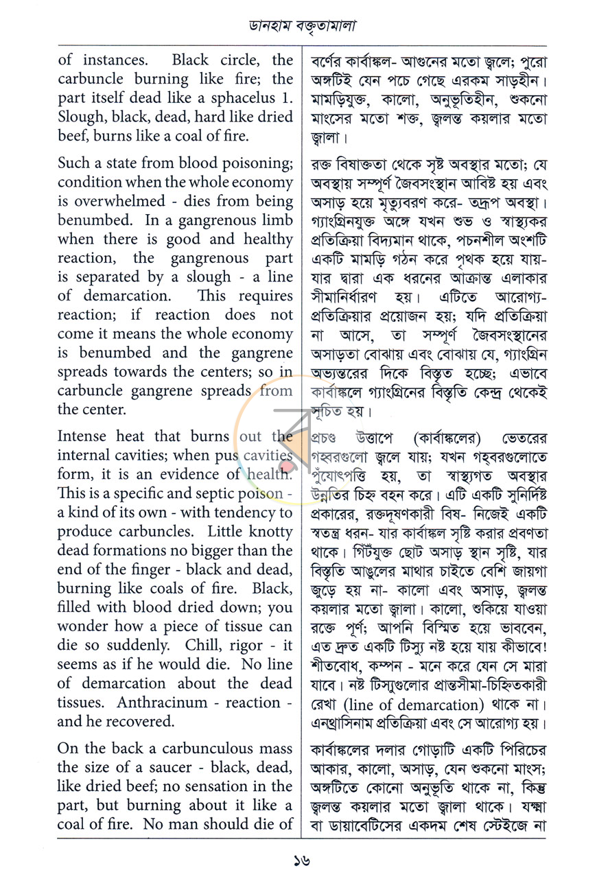 পাতা 10
