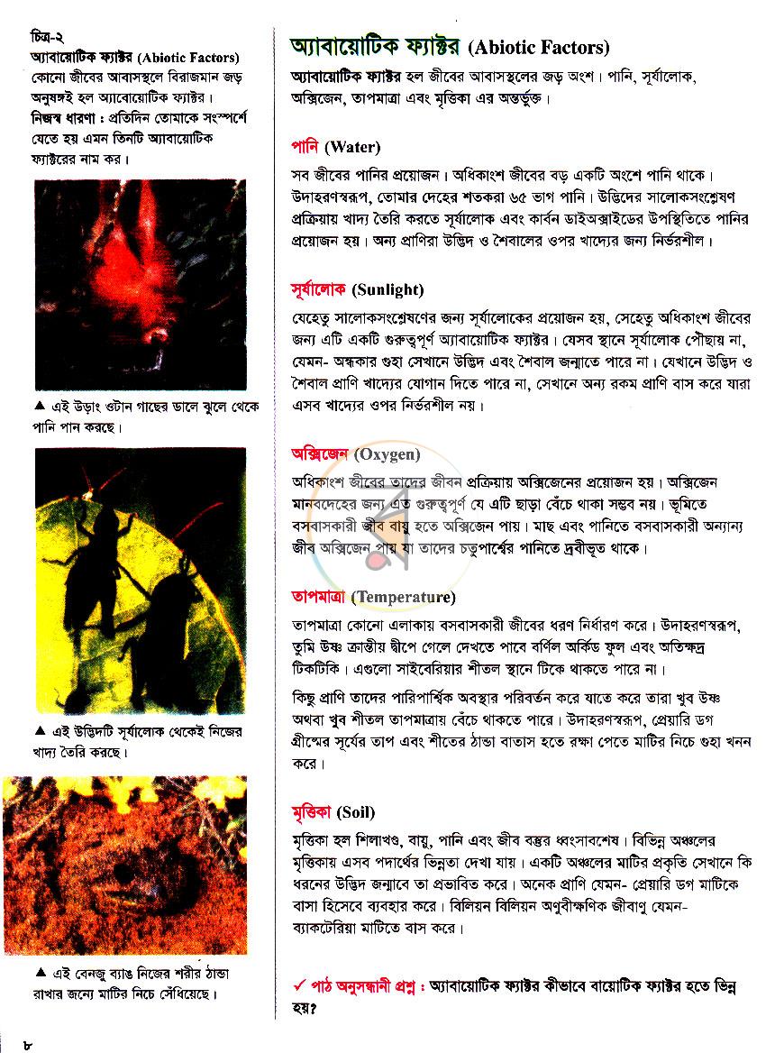 পাতা 8