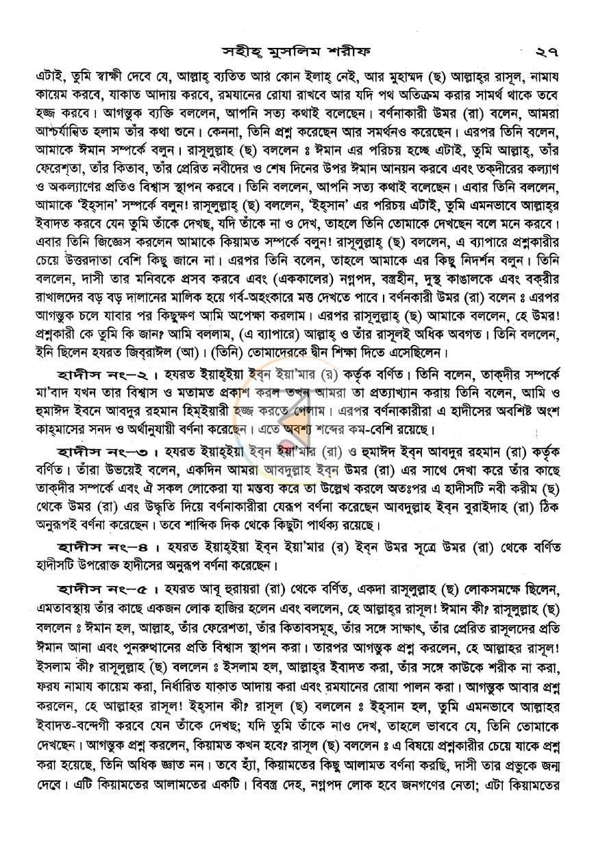 পাতা 11