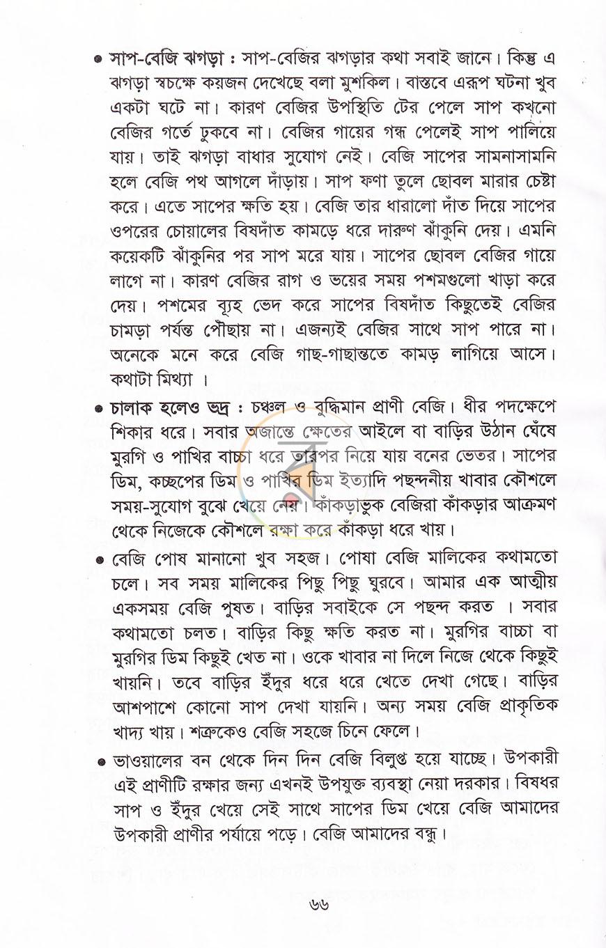 পাতা 13