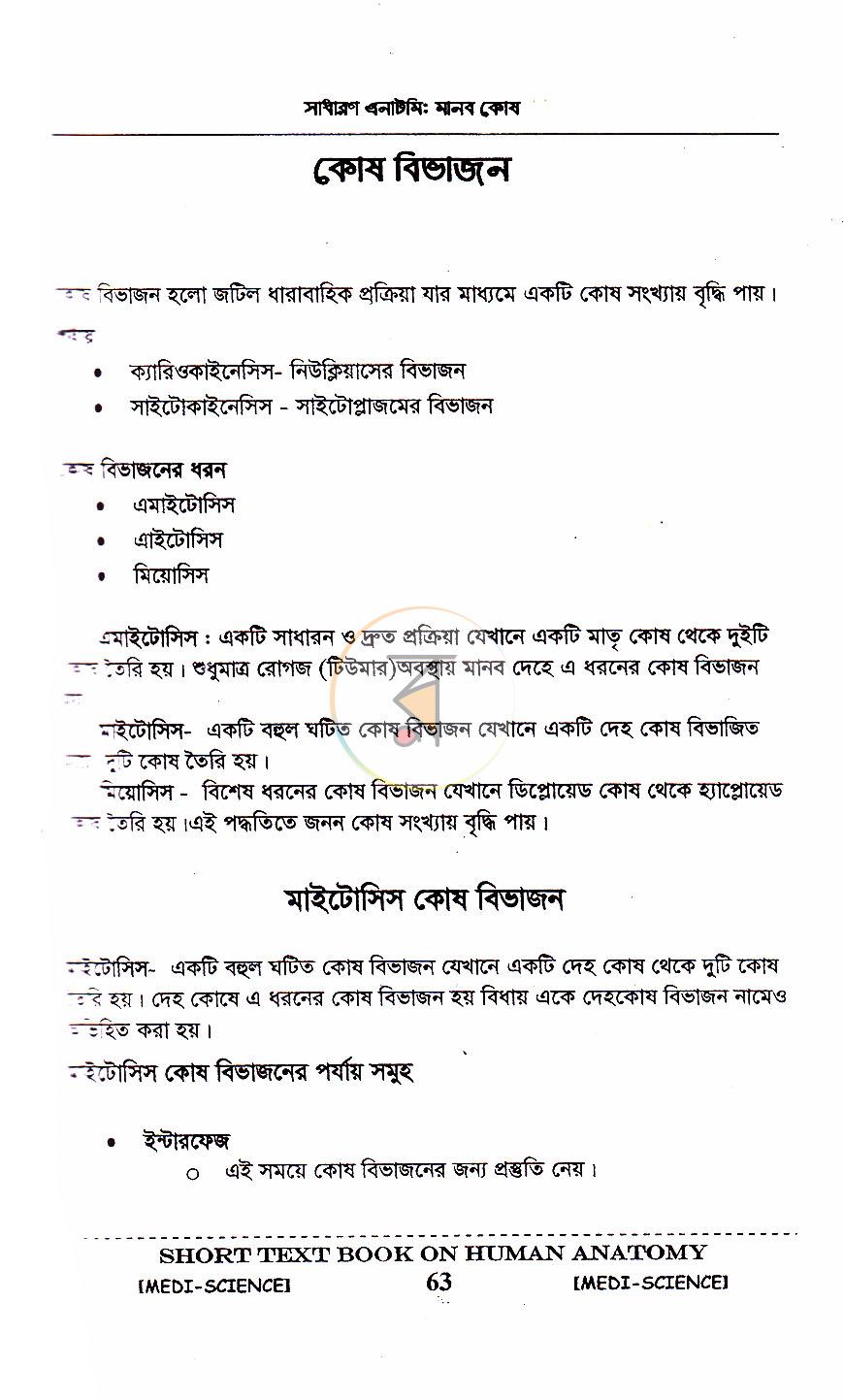 পাতা 19