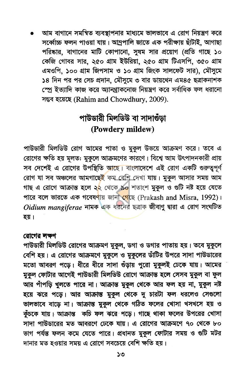 পাতা 11
