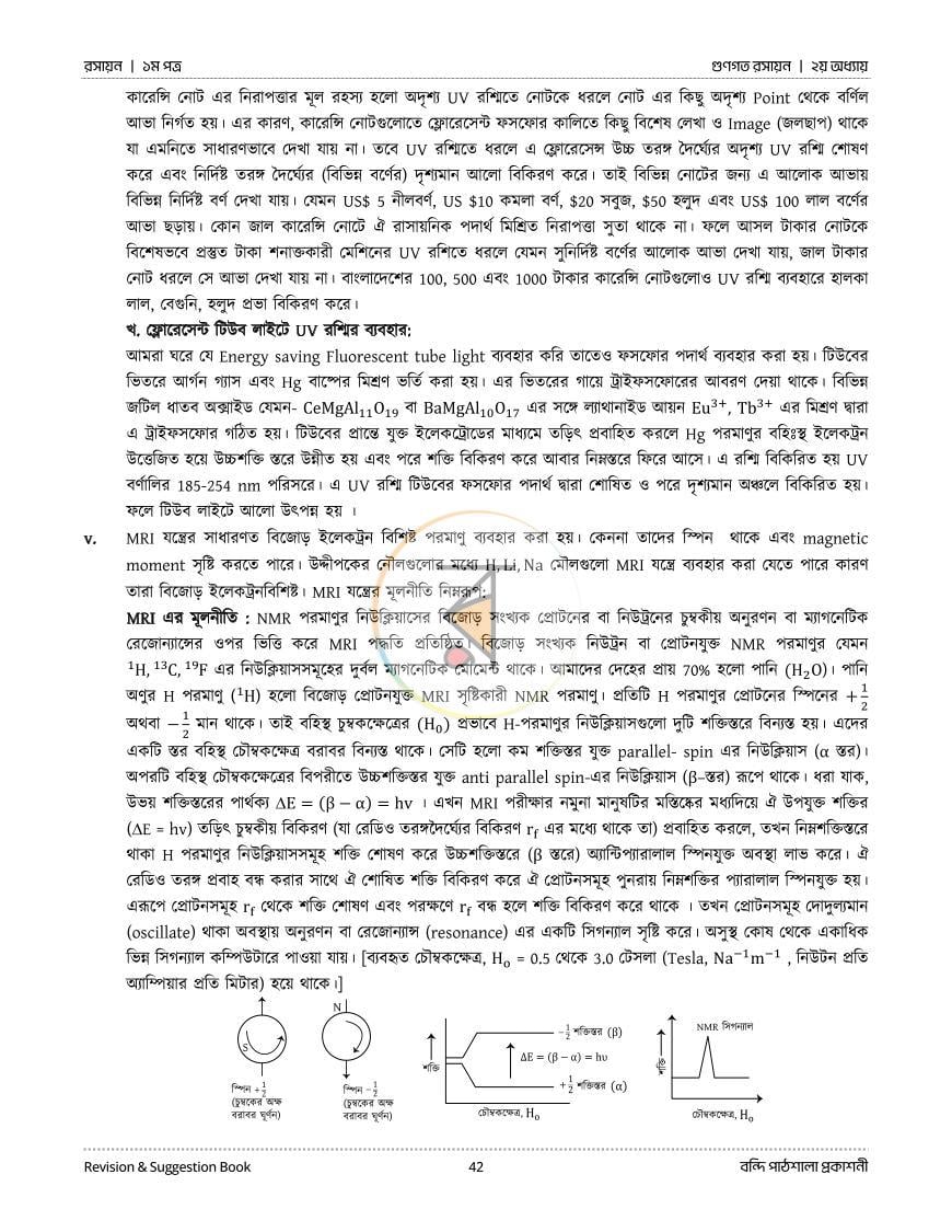 পাতা 19
