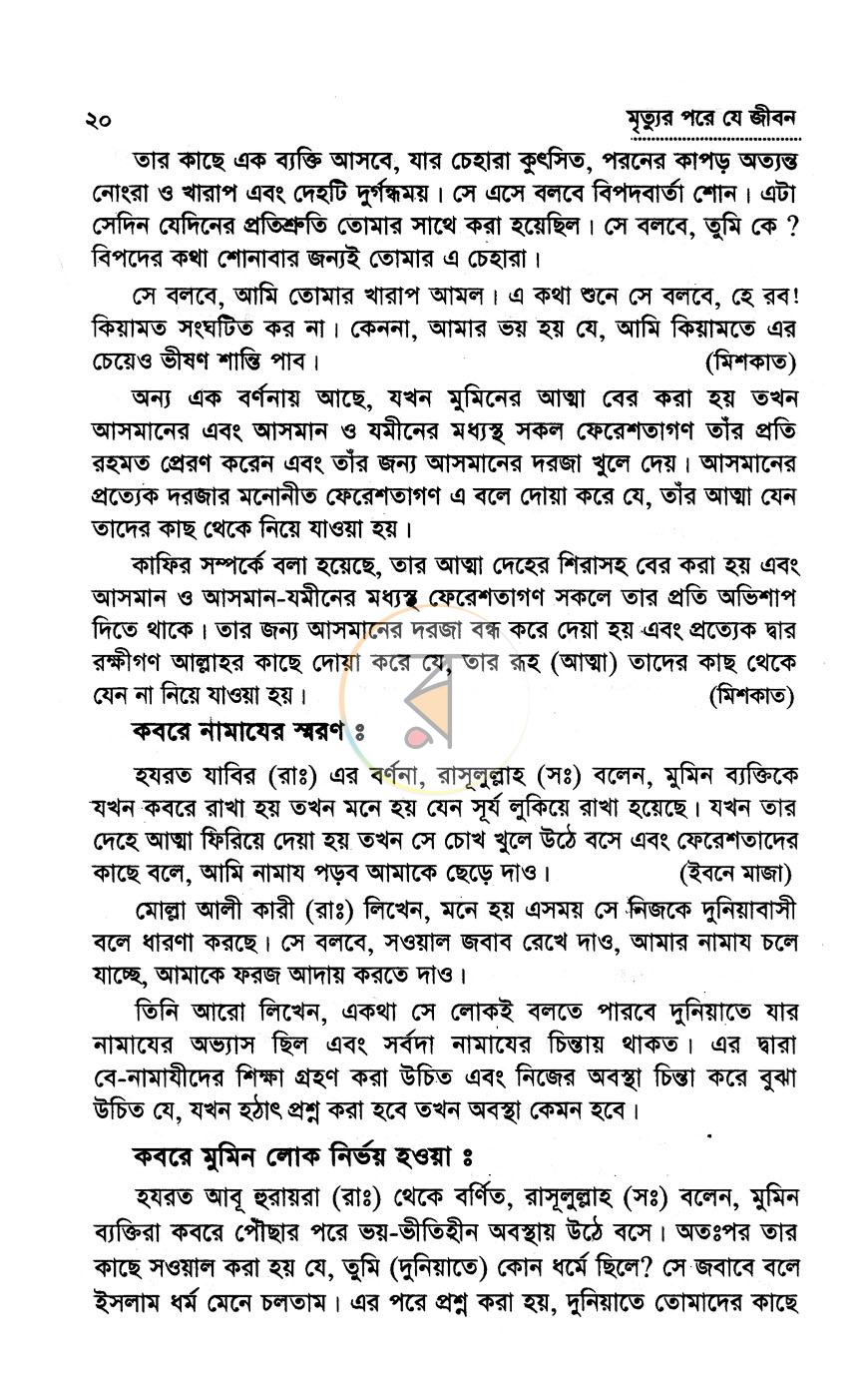 পাতা 8