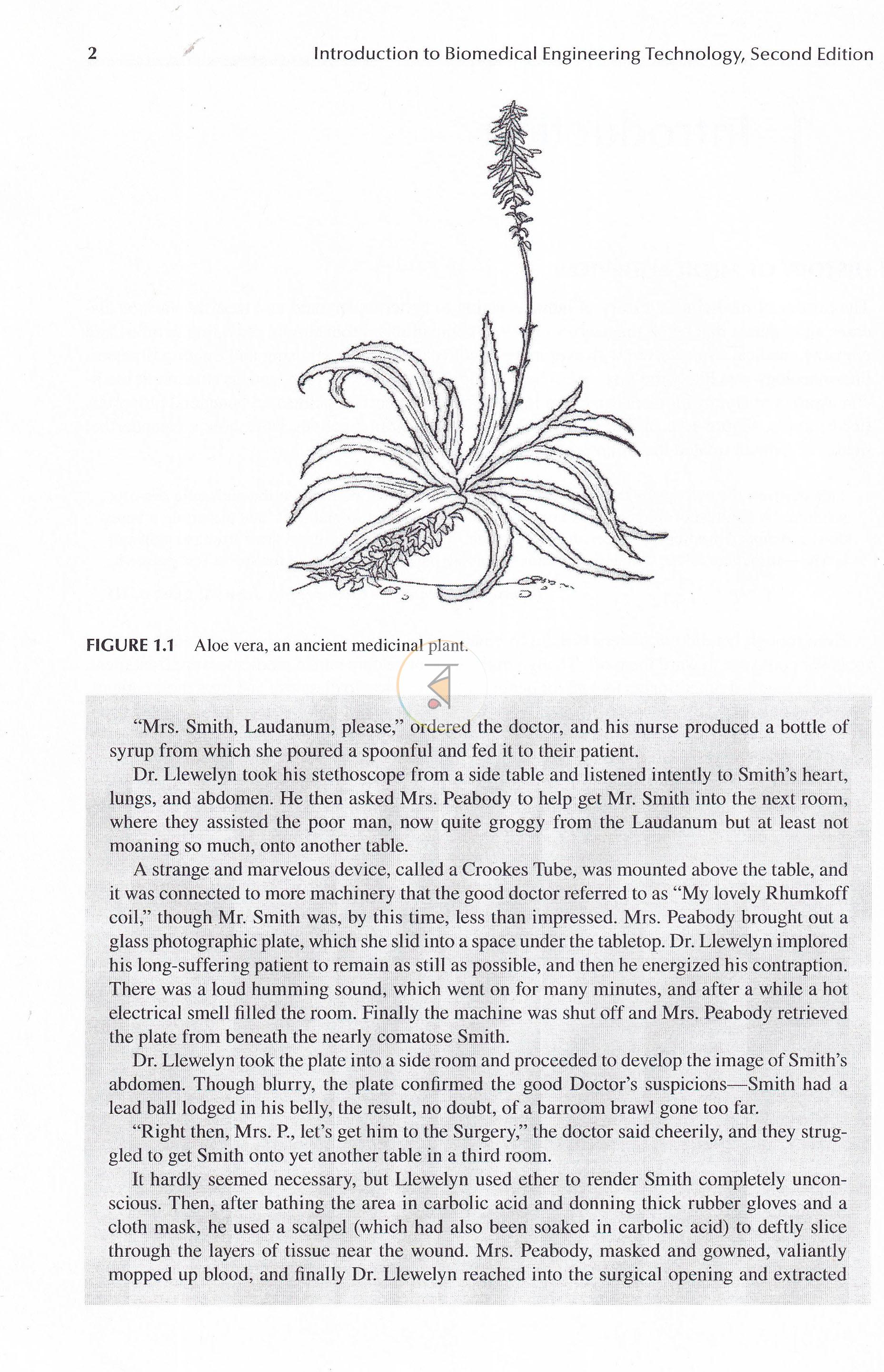 পাতা 11