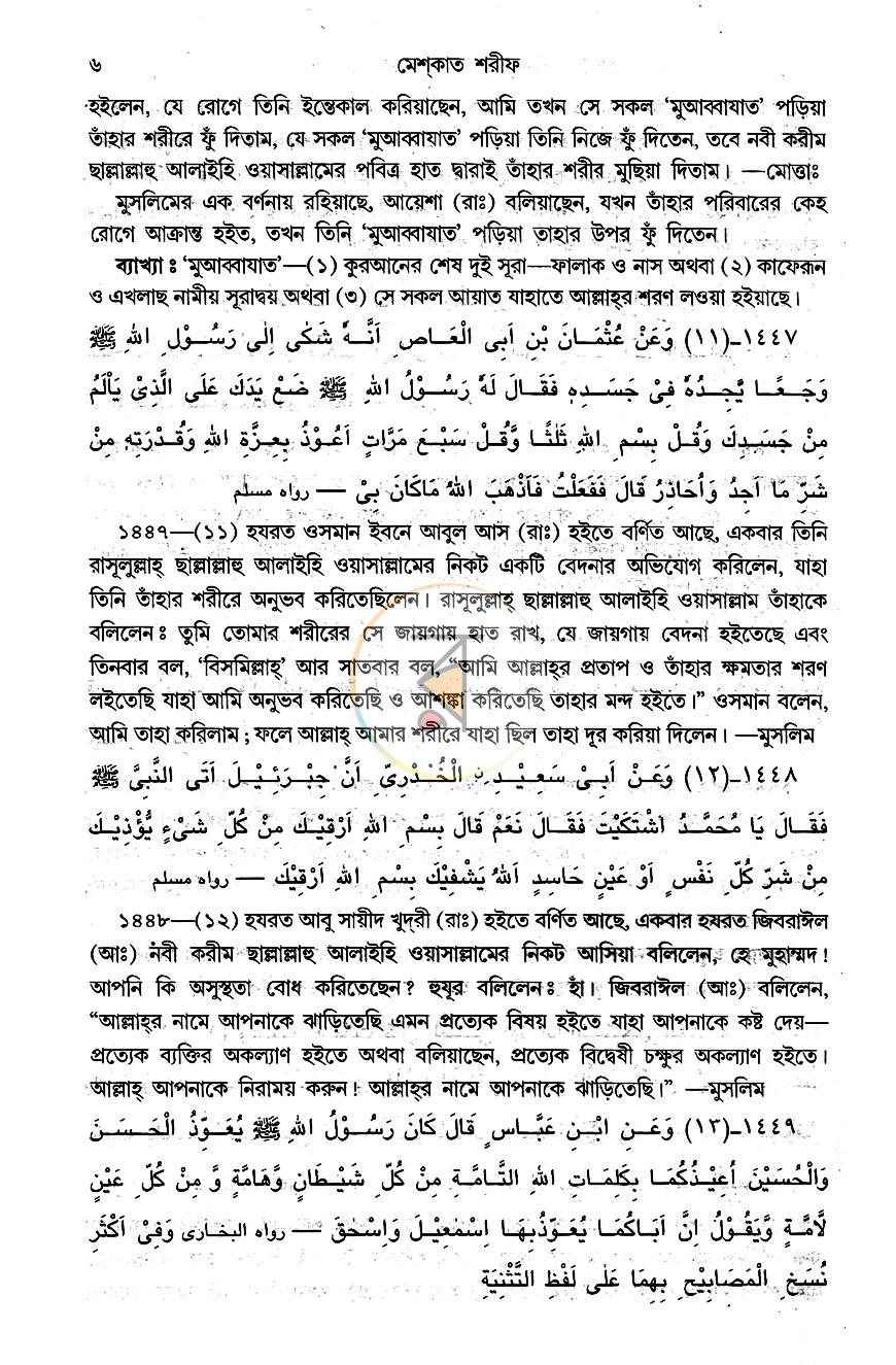 পাতা 9