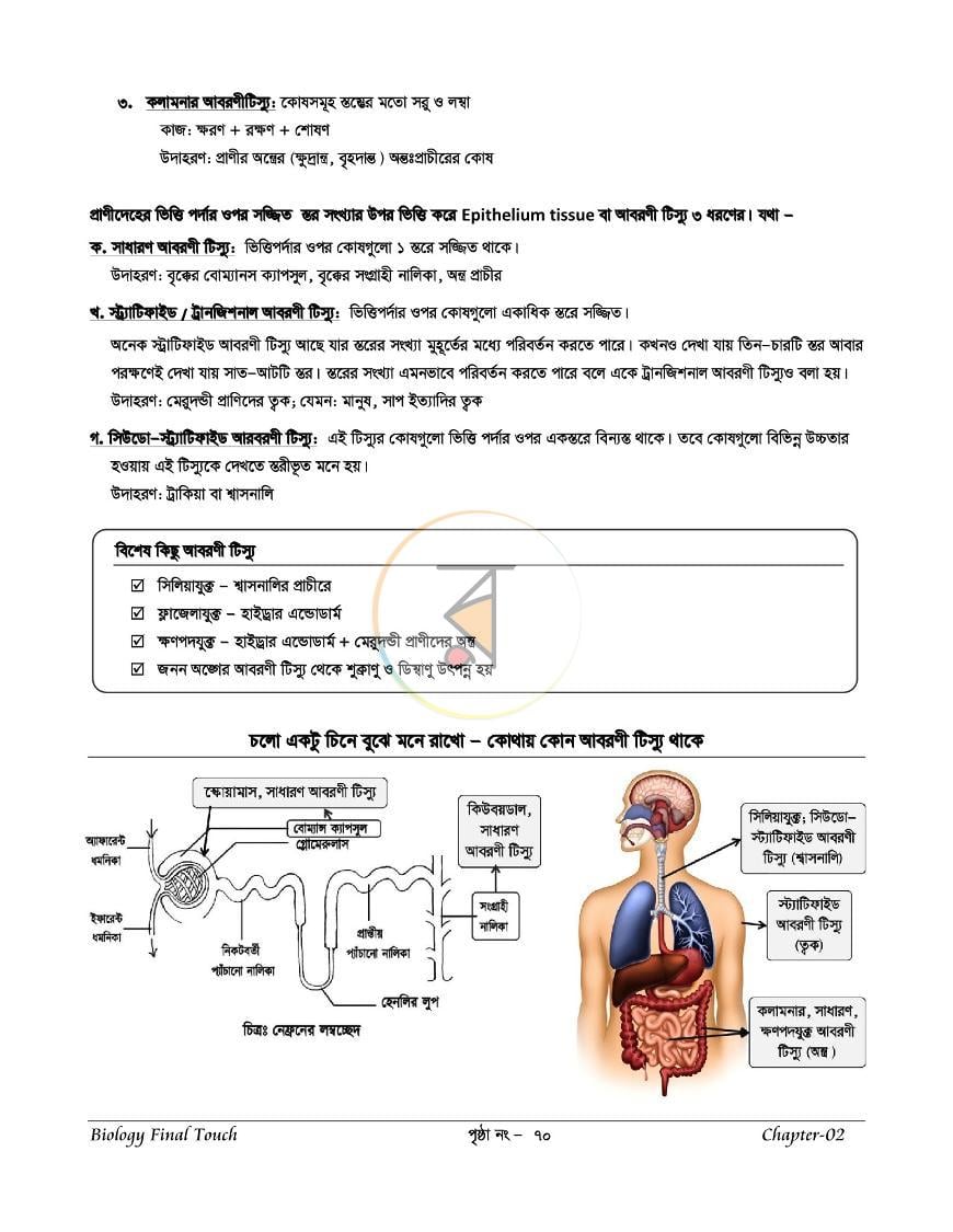 পাতা 10