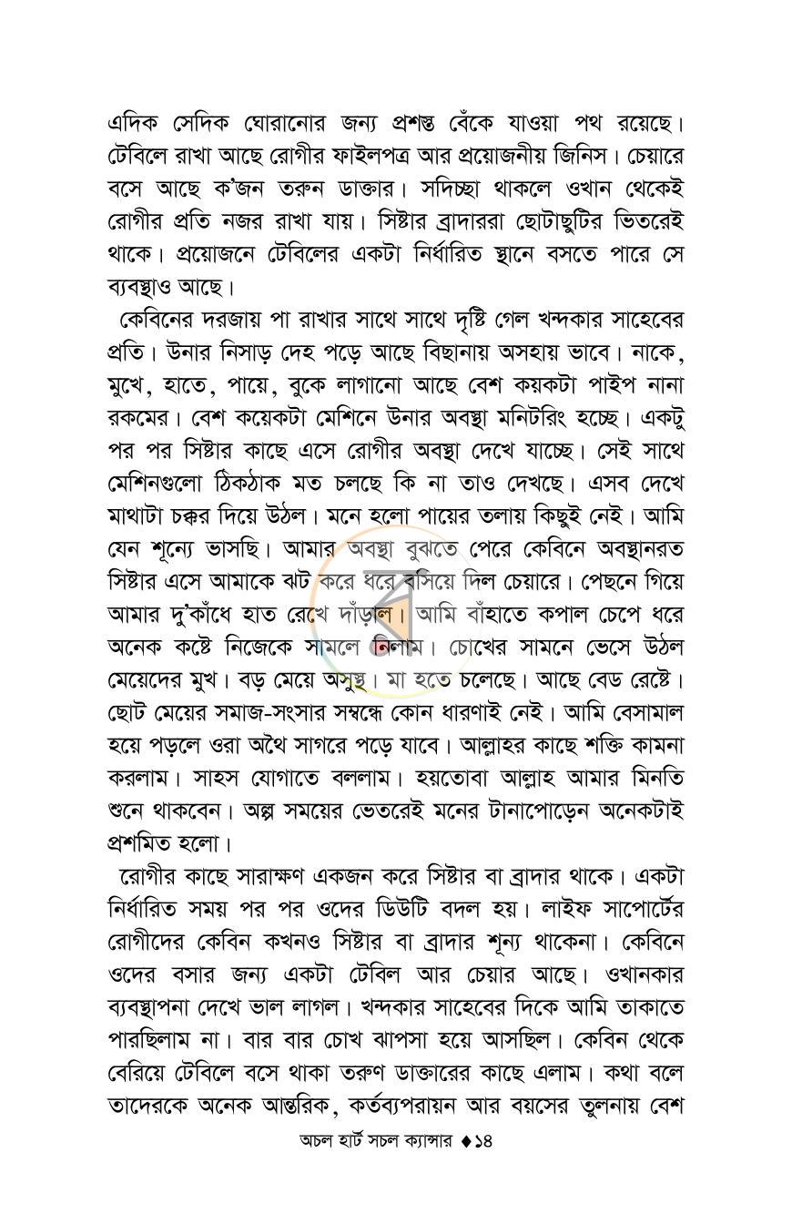 পাতা 13