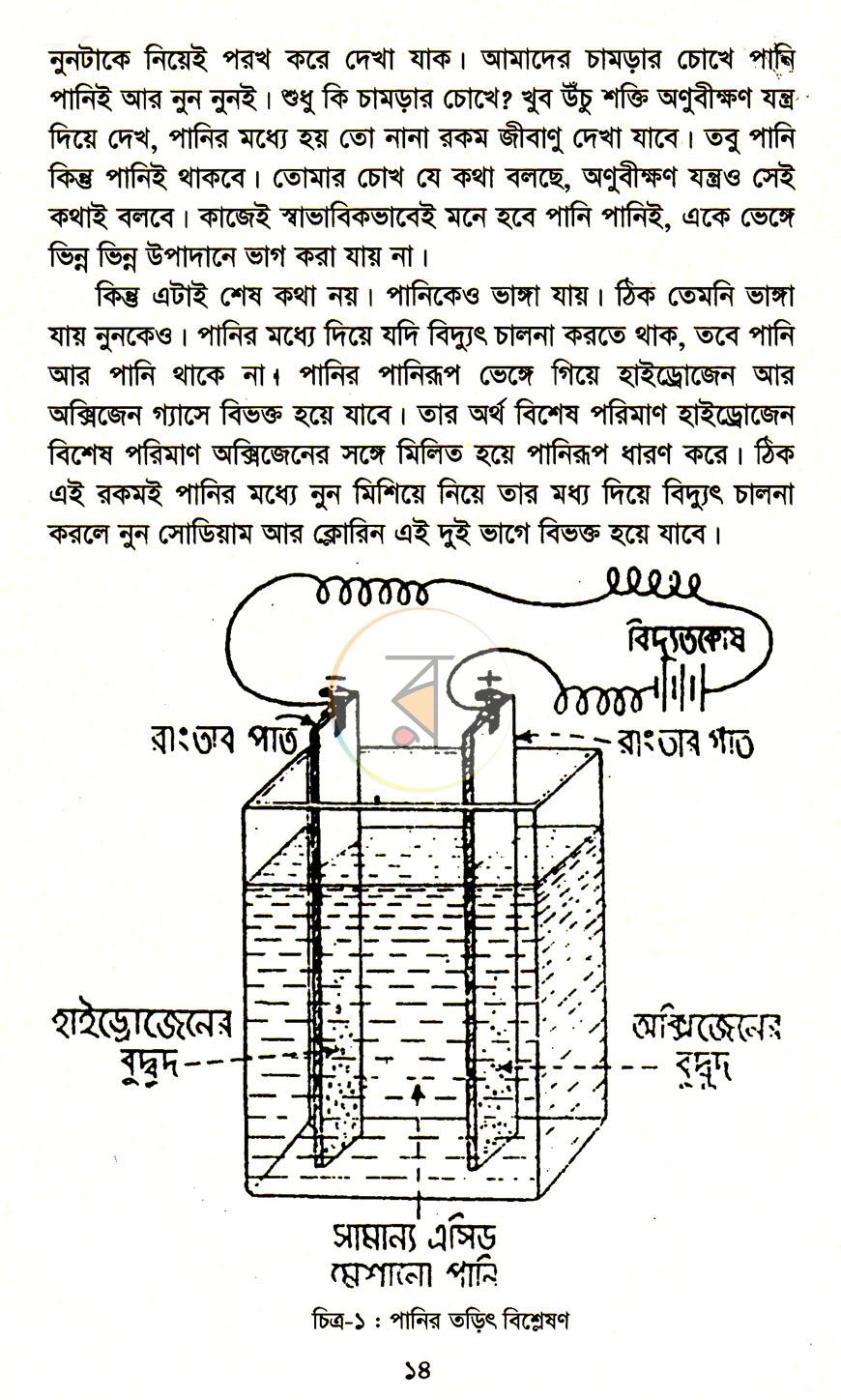 পাতা 9