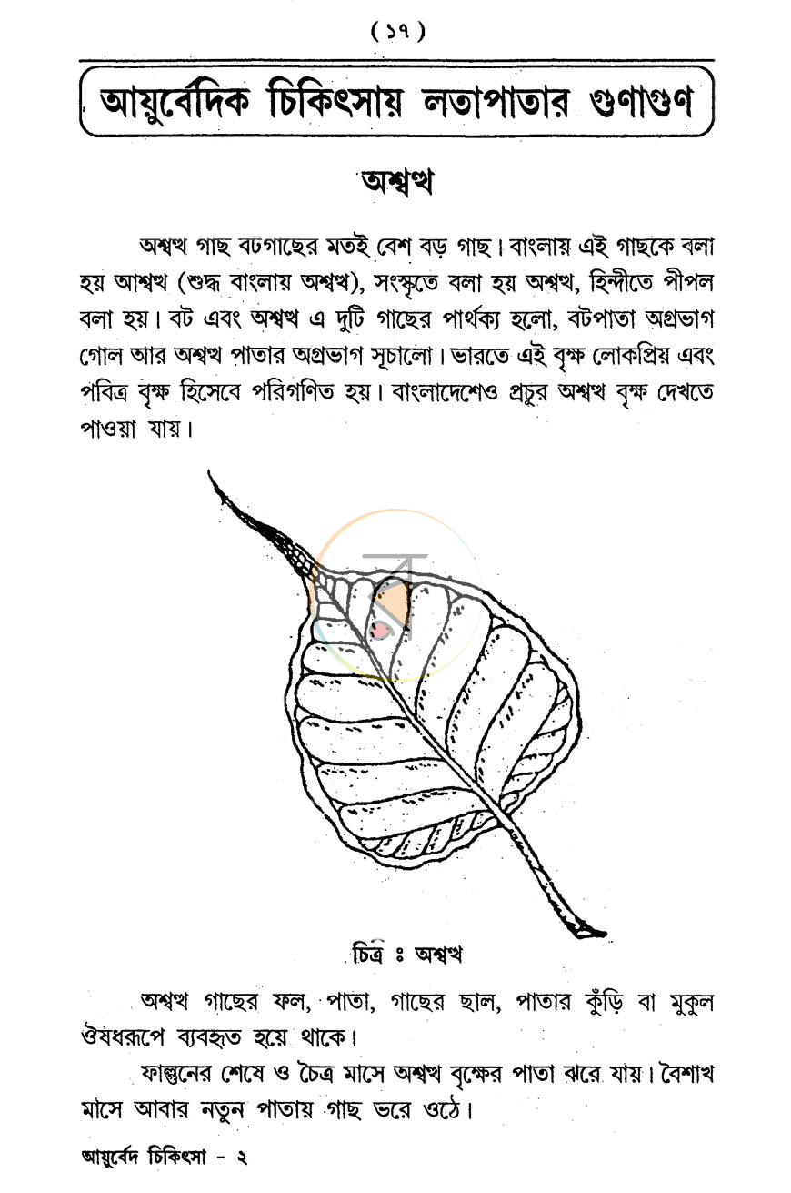 পাতা 8