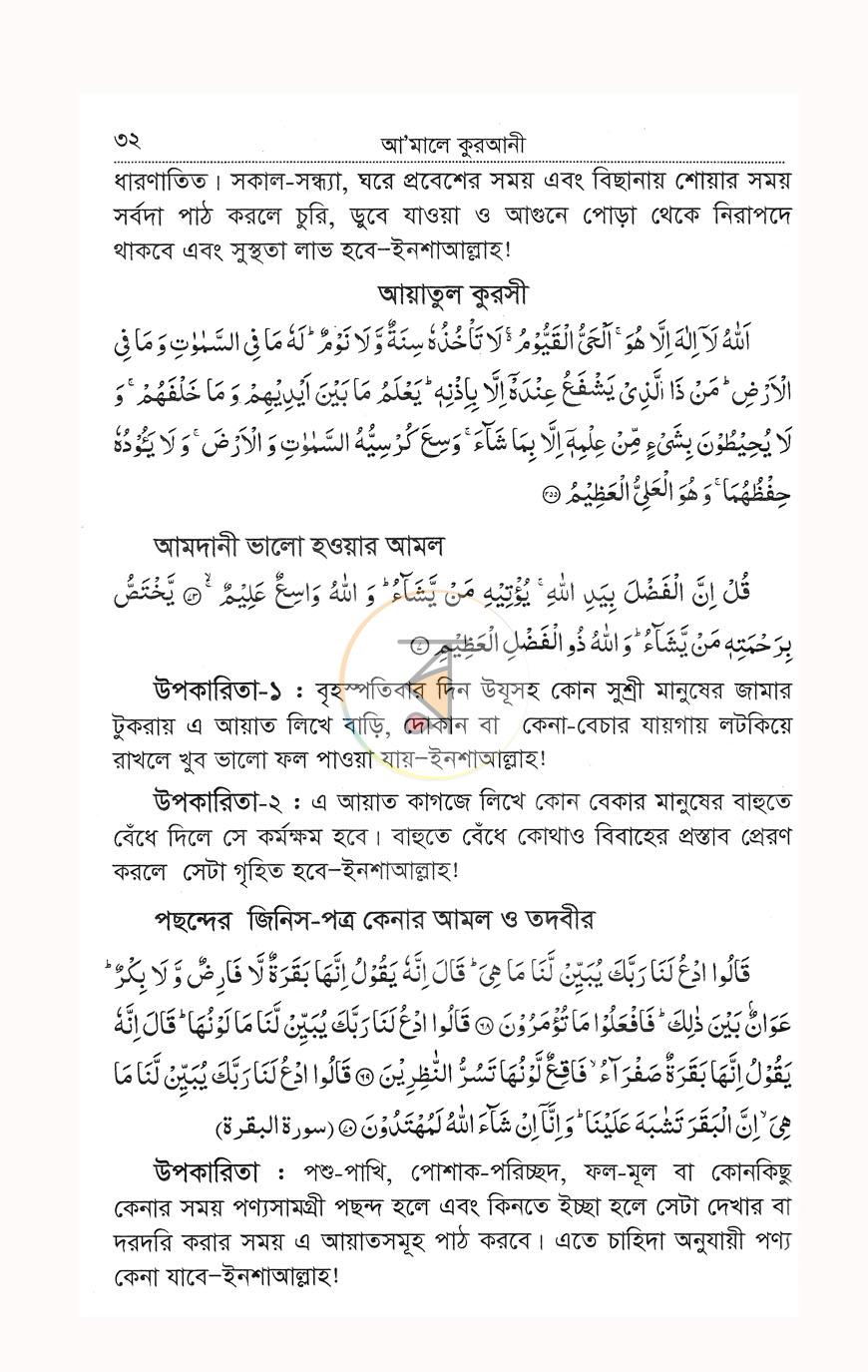 পাতা 11