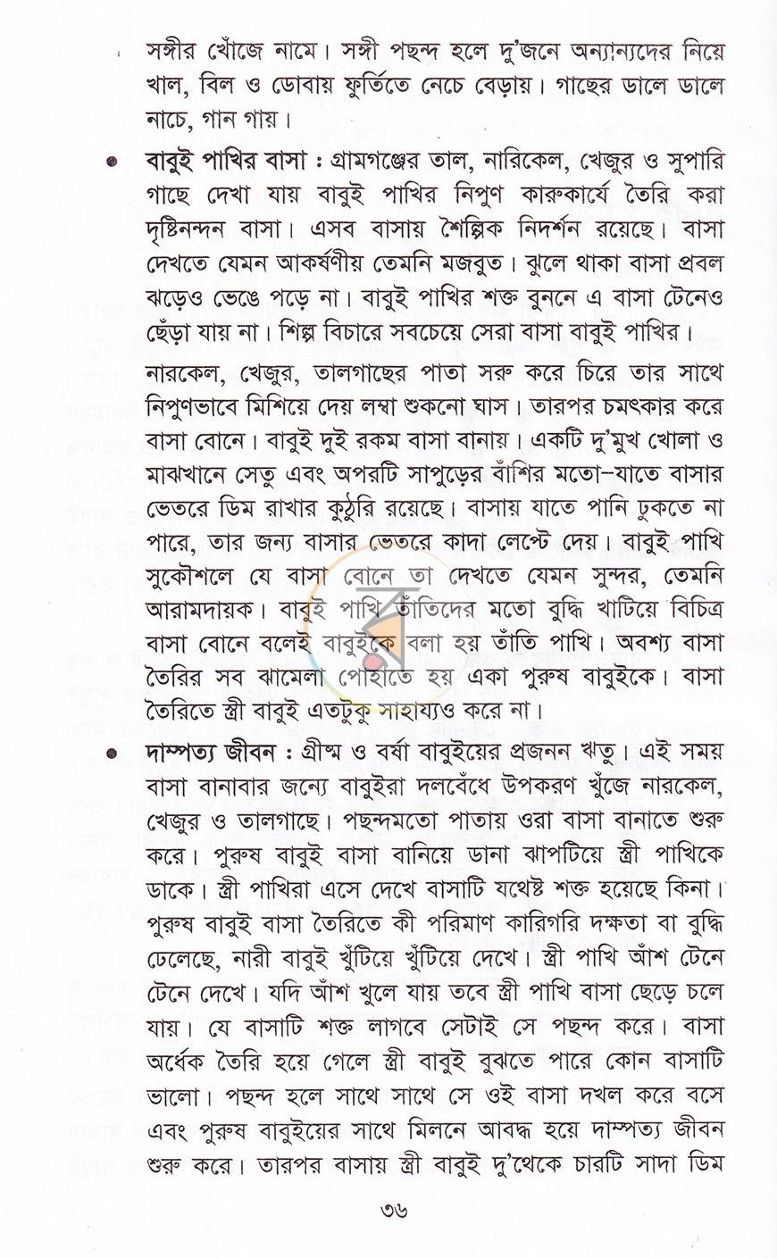 পাতা 11