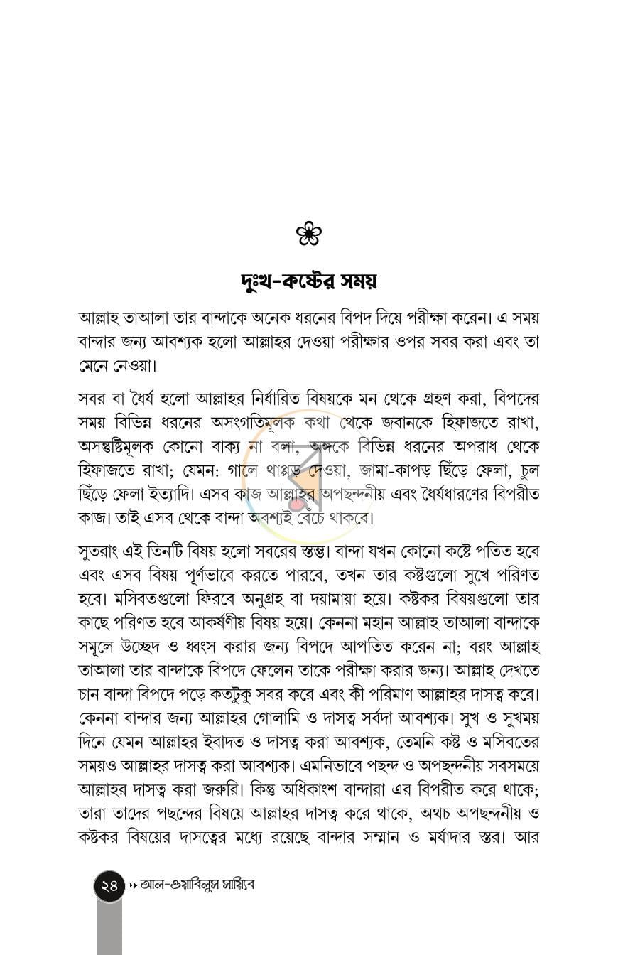 পাতা 11
