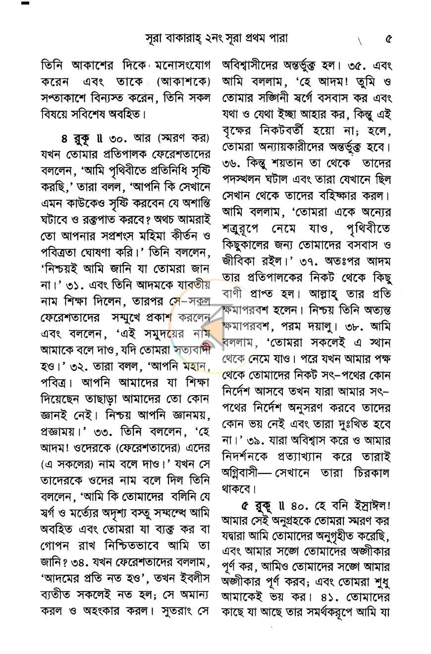 পাতা 13