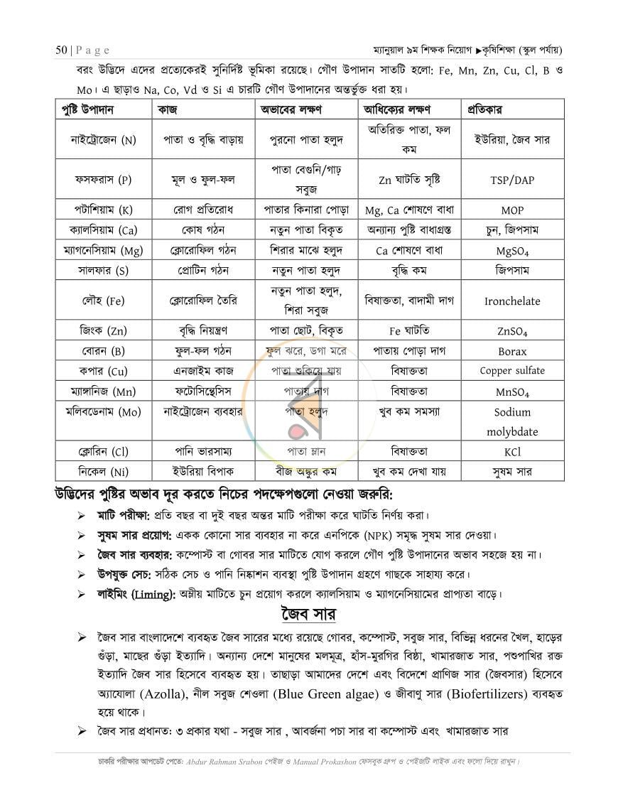 পাতা 11
