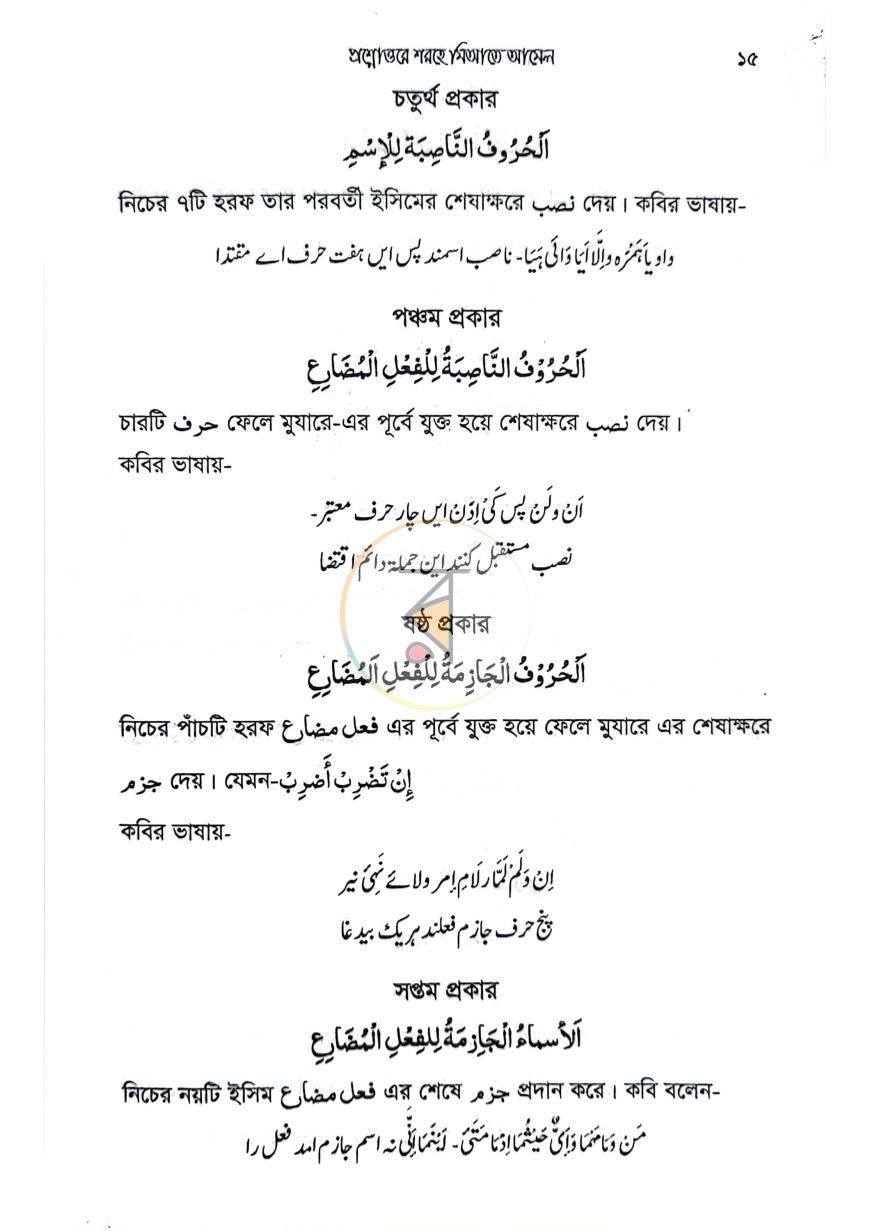 পাতা 8
