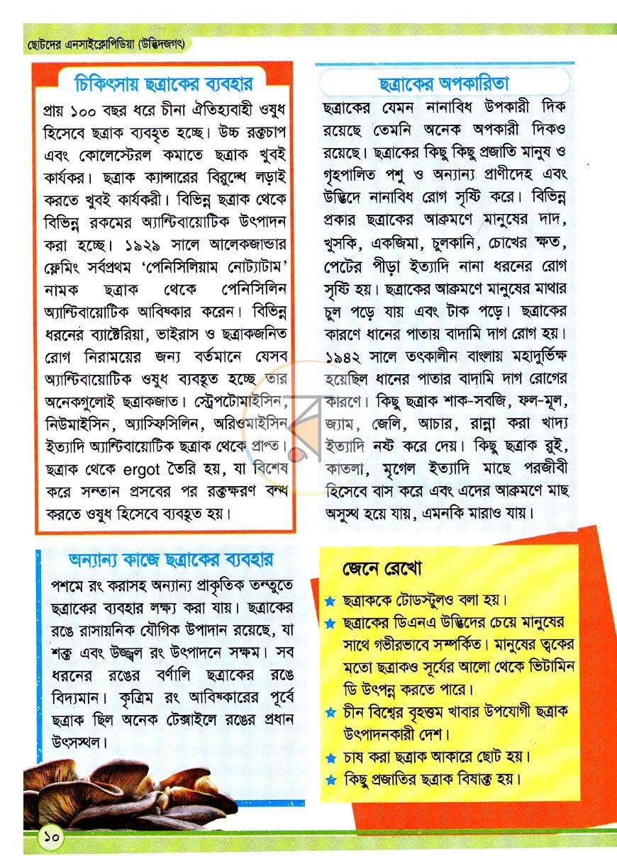 পাতা 9