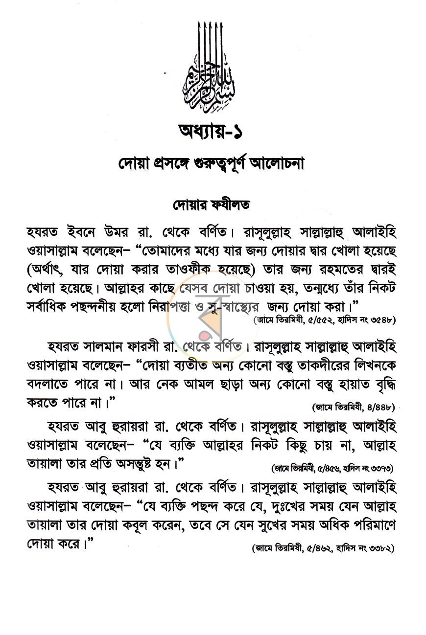 পাতা 8