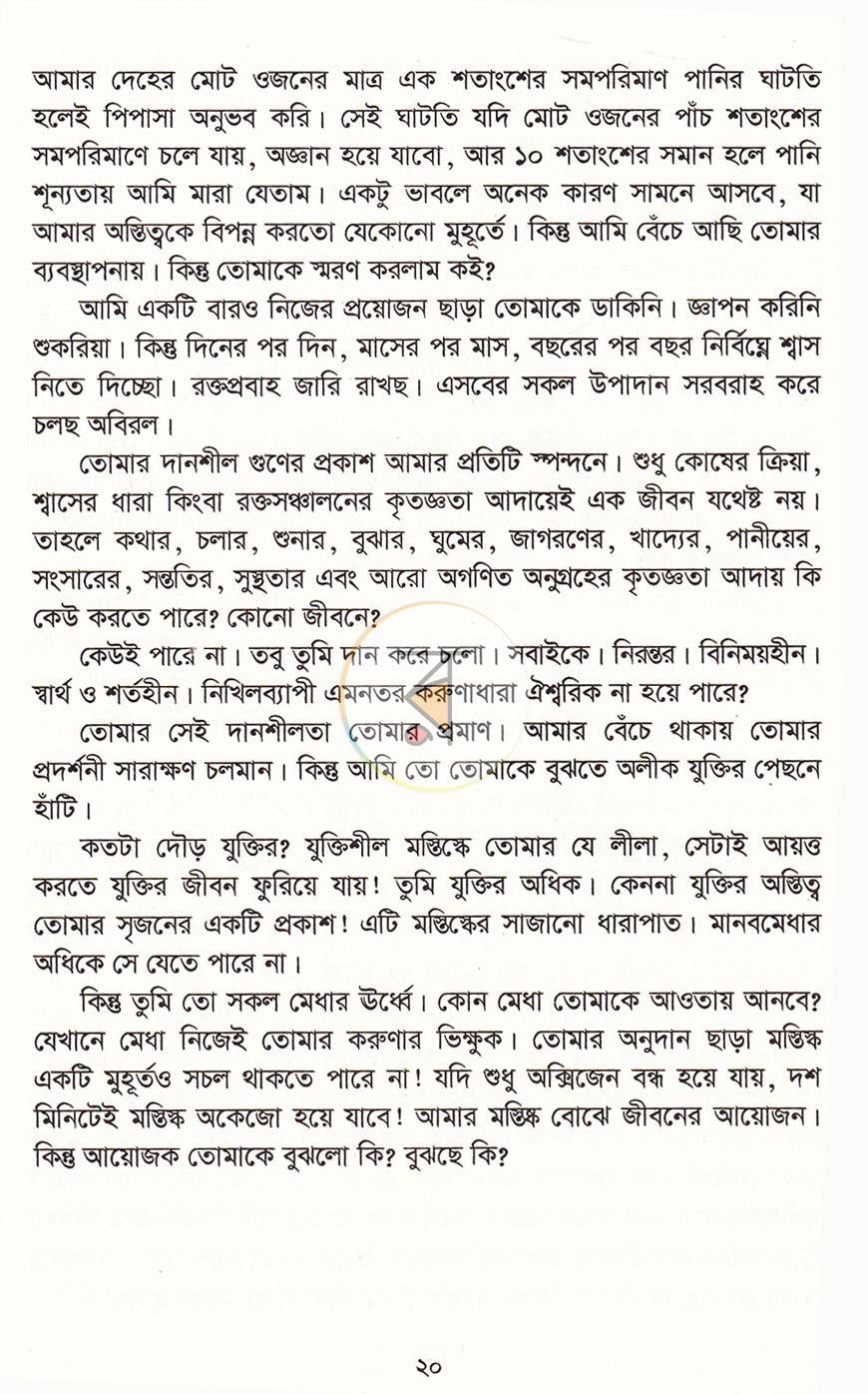 পাতা 13